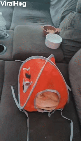 Tiny Tent for Pet Rat