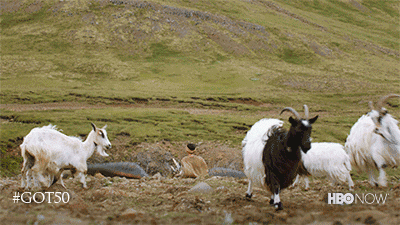 Hbo GIF by Game of Thrones