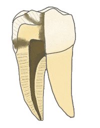 Odonto Dentistry Sticker