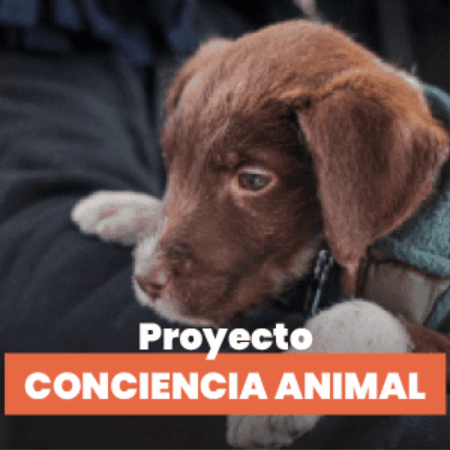 NotiJuy giphygifmaker GIF