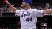 Major League Baseball Sport GIF by MLB