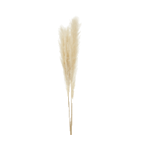 Boho Sticker by Möbel Höffner