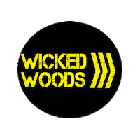 Sport Bike Sticker by wickedwoods