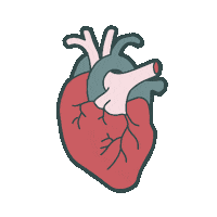 Heart Love Sticker