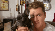 GIF by CMT