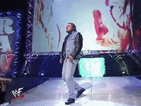 triple h wrestling GIF by WWE