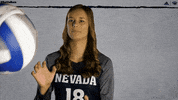 NevadaWolfPack college ncaa volleyball athletics GIF