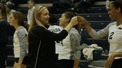 NevadaWolfPack college ncaa volleyball athletics GIF