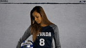 NevadaWolfPack college ncaa volleyball athletics GIF
