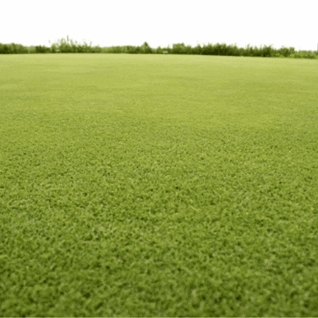 Just Passing Through Drive By GIF by TeaCosyFolk