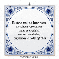 Humor Troost GIF by Tegelspreuken.nl