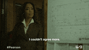 Usa Network Television GIF by Pearson