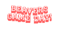 Obbrfc Sticker by Ottawa Beavers & Banshees RFC
