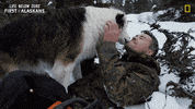 Nat Geo Love GIF by National Geographic Channel