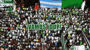 Perfecty GIF by Liga Deportiva Universitaria de Portoviejo