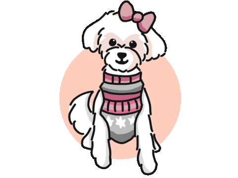 Carlie Sticker