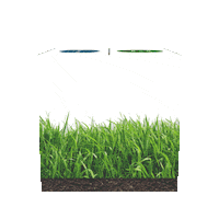 Home Realestate Sticker by Simple Lawn Solutions