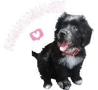 Heart Love Sticker by heyencadaetapa