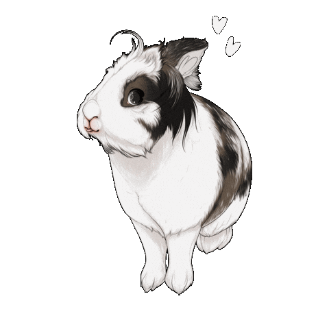 Bunny Rabbit Sticker