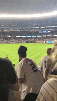 'MVP Cat' Steals the Spotlight at Yankees Game