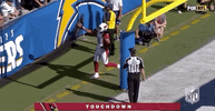 2018 Nfl Football GIF by NFL