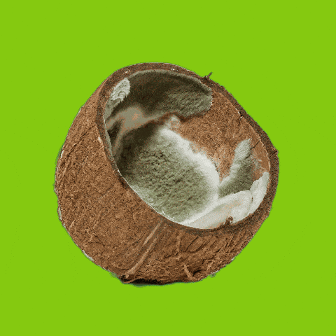 Apple Energy GIF