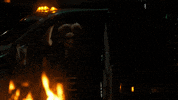 season 5 hello GIF by Gotham