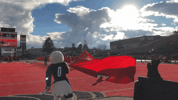 Football College GIF by Eastern Washington University