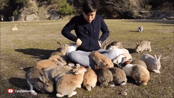 Cuddly Rabbits Swarm Tourist for Carrots