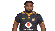 Rugby Sticker by Wasps