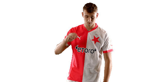 Football Sport Sticker by SK Slavia Praha
