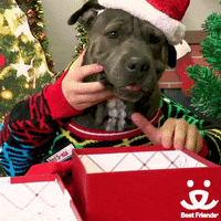 Cat Save Them All GIF by Best Friends Animal Society