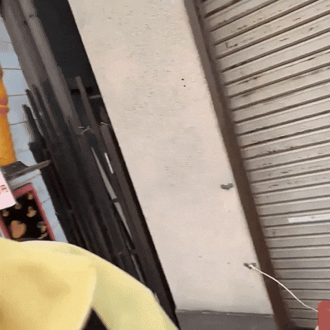 Teasing Smile GIF