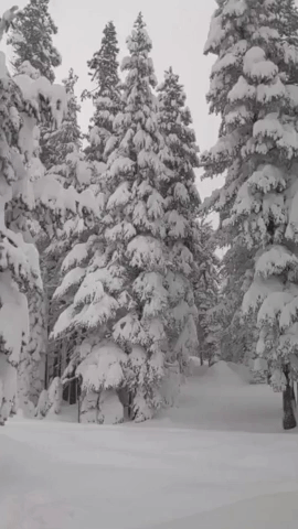 Sierra Nevada Mountains Buried in Several Feet of Snow as Another Storm Predicted