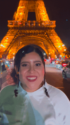 France Travel GIF
