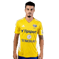 Football Soccer Sticker by Fortuna Liga