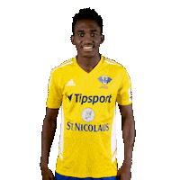 Football Soccer Sticker by Fortuna Liga