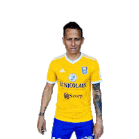 Football Tattoo Sticker by Fortuna Liga