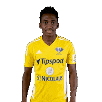 Football Soccer Sticker by Fortuna Liga