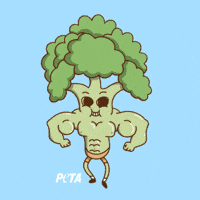 Go Vegan Plant Based Diet GIF by PETA