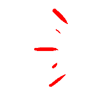 brunacelegato line circle important circulo Sticker