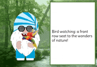 Birds Gnome GIF