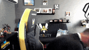 Team Vitality Shox GIF by BLAST