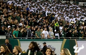 #usf #swagsurf GIF by USF Athletics