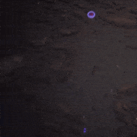 Dune Awakening GIF by Funcom