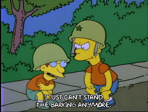 Season 1 GIF by The Simpsons
