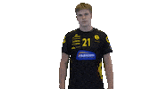 Floorball Salibandy Sticker by F-liiga