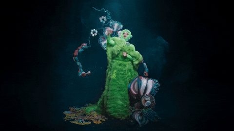 celestinmeunier giphyupload trap bjork turnup GIF