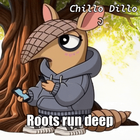 GIF by Chillo Dillo