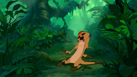 the lion king GIF by Disney